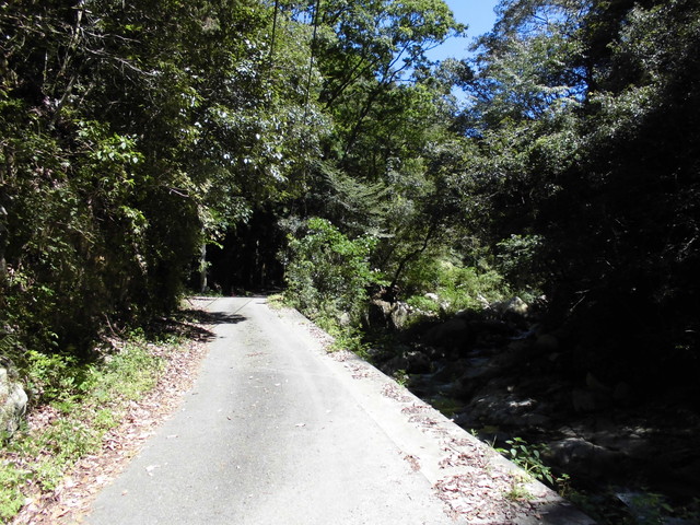 k12_024.jpg