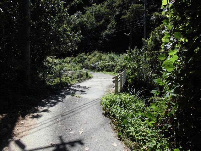 k12_025.jpg