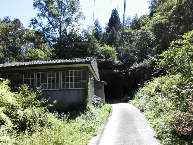 k12_026.jpg