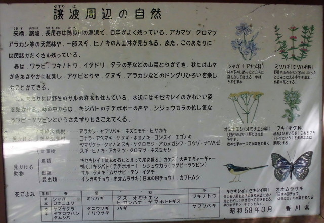 k12_028.jpg