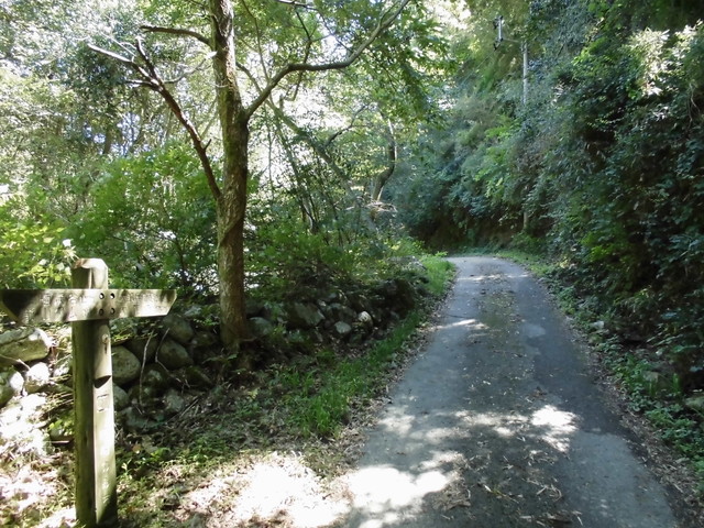 k12_029.jpg