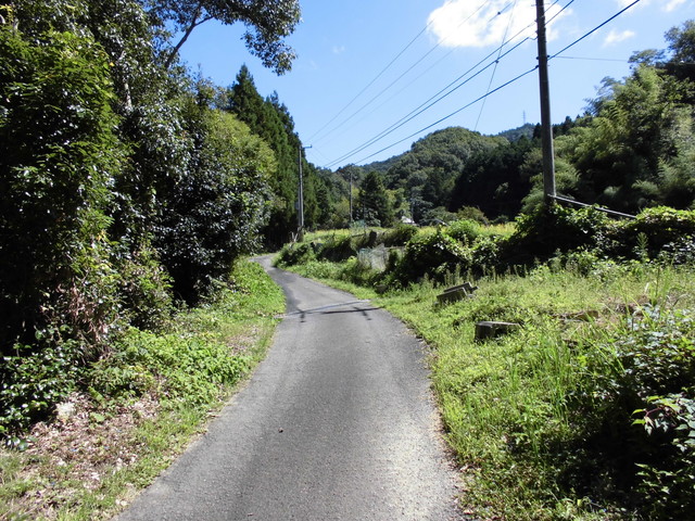 k12_030.jpg