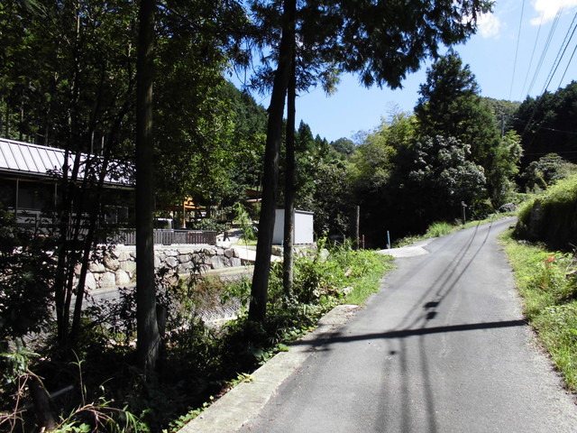 k12_031.jpg
