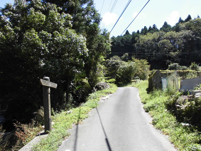 k12_032.jpg