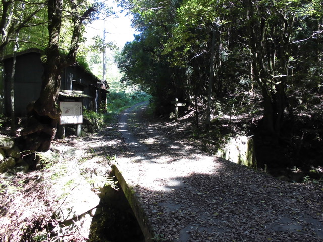 k12_033.jpg