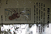 k12_034_thumb.png