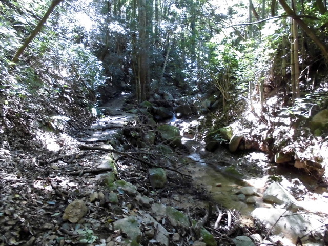 k12_035.jpg