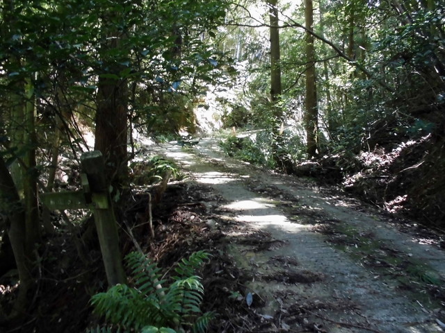 k12_036.jpg