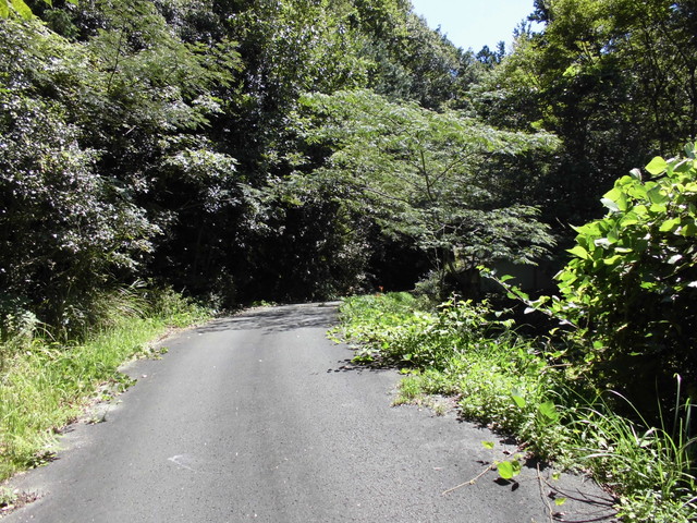 k12_037.jpg
