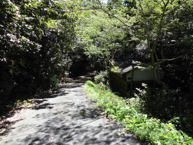 k12_038.jpg