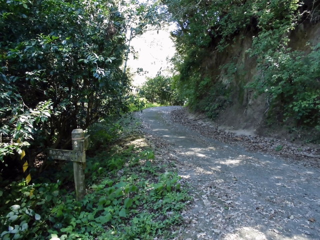 k12_039.jpg