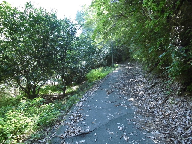 k12_040.jpg