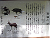 k12_042_thumb.png
