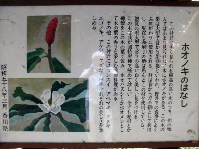 k12_043.jpg