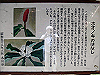 k12_043_thumb.png