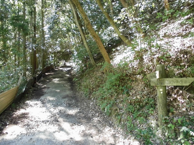 k12_044.jpg