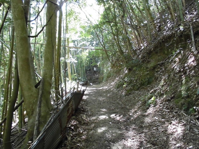 k12_045.jpg