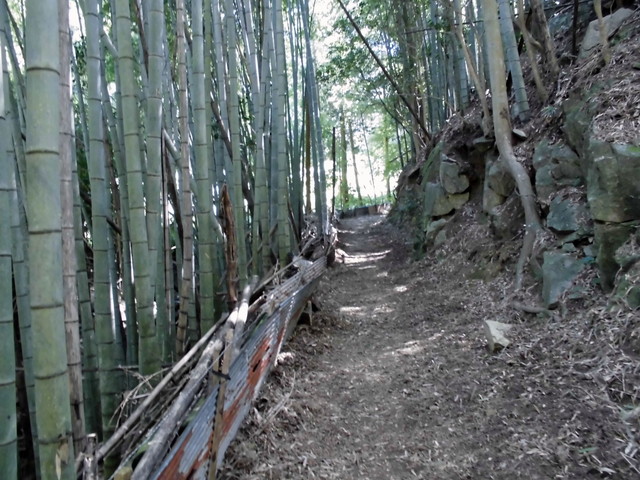 k12_046.jpg