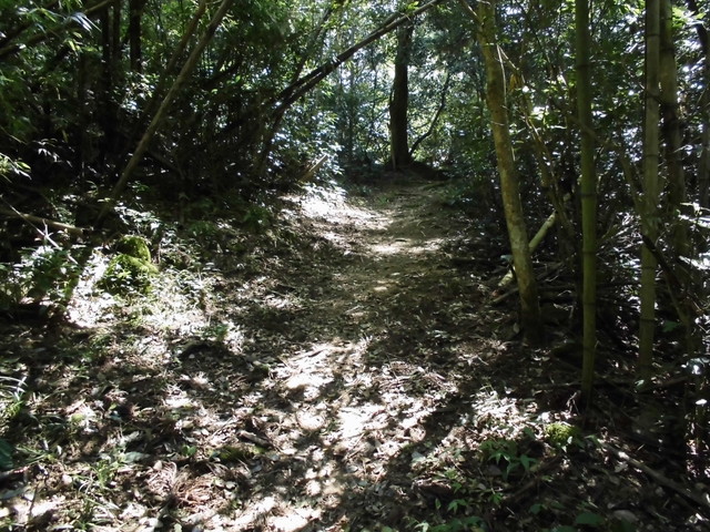 k12_047.jpg