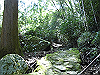 k12_048_thumb.png