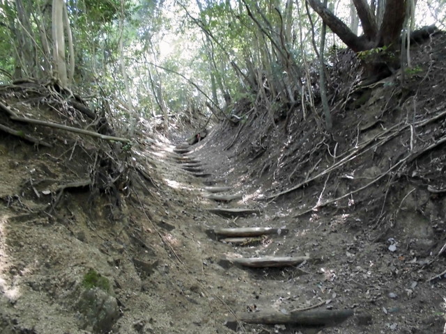 k12_049.jpg
