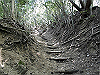k12_049_thumb.png