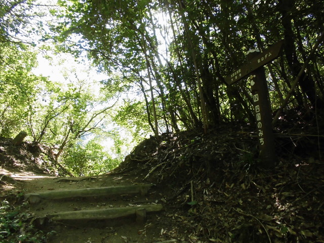 k12_052.jpg