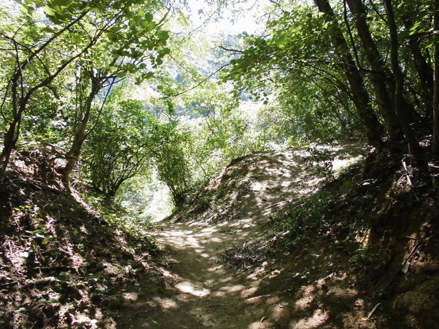 k12_053.jpg