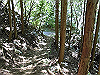 k12_054_thumb.png