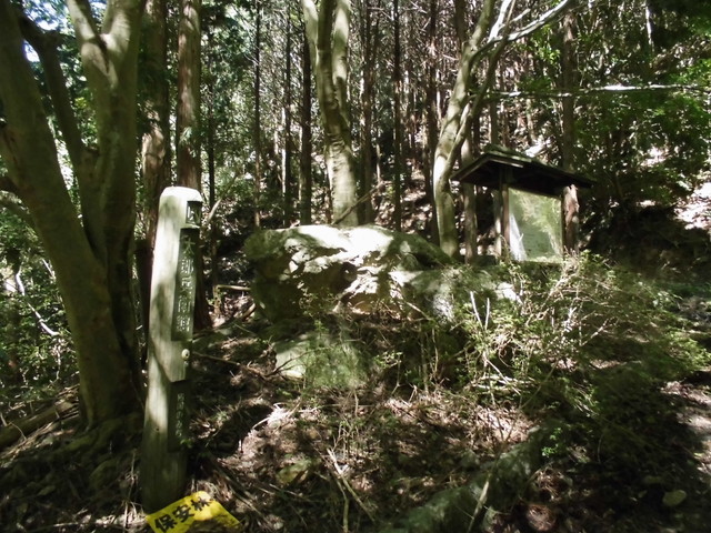 k12_055.jpg