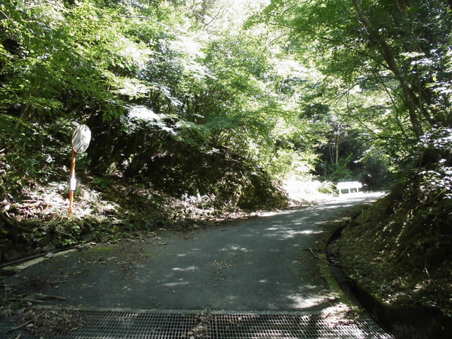 k12_060.jpg