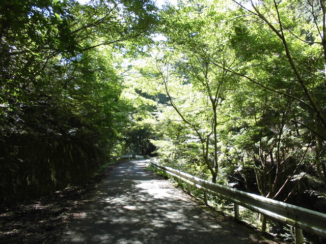 k12_061.jpg
