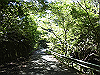 k12_061_thumb.png