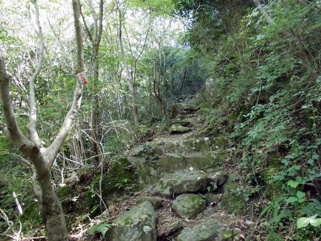 k12_067.jpg