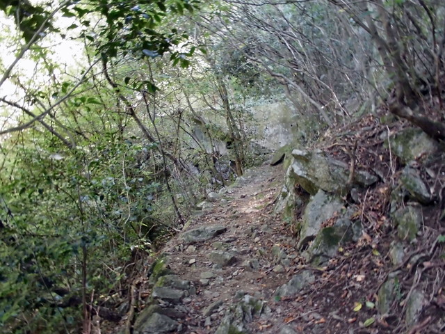 k12_068.jpg