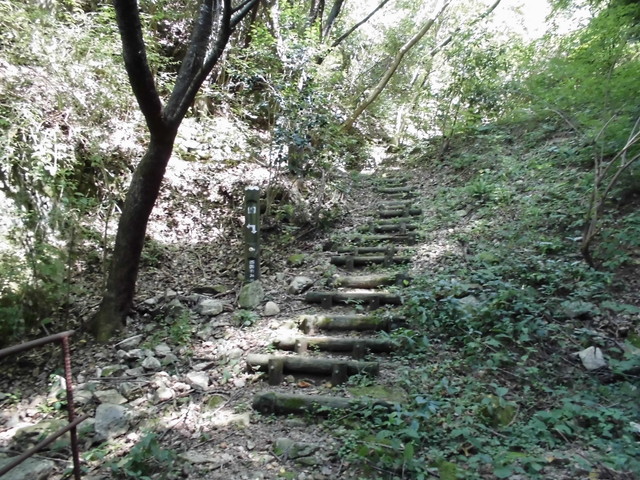 k12_070.jpg
