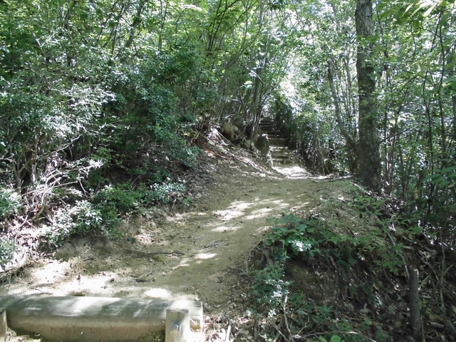 k12_072.jpg