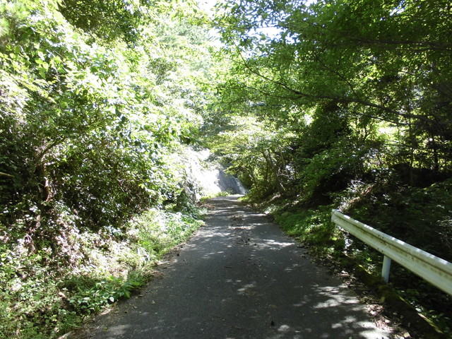 k12_074.jpg