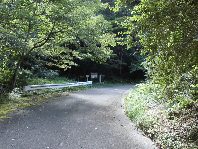 k12_075.jpg