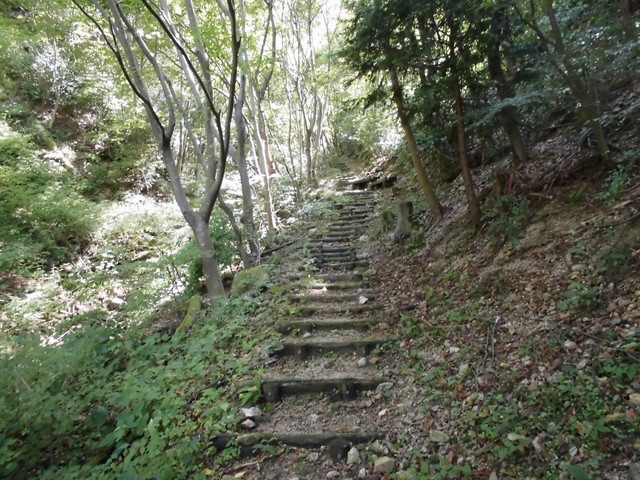 k12_077.jpg