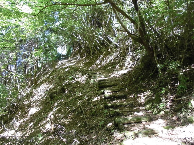 k12_079.jpg