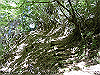k12_079_thumb.png