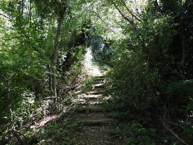 k12_082.jpg