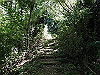 k12_082_thumb.png