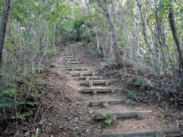 k12_084.jpg