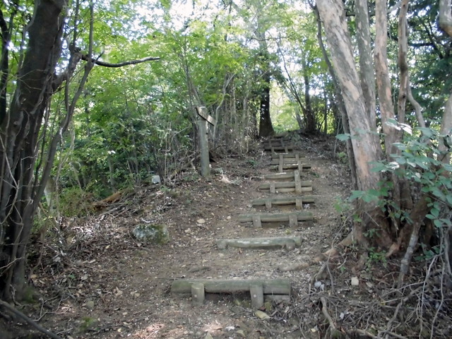 k12_085.jpg