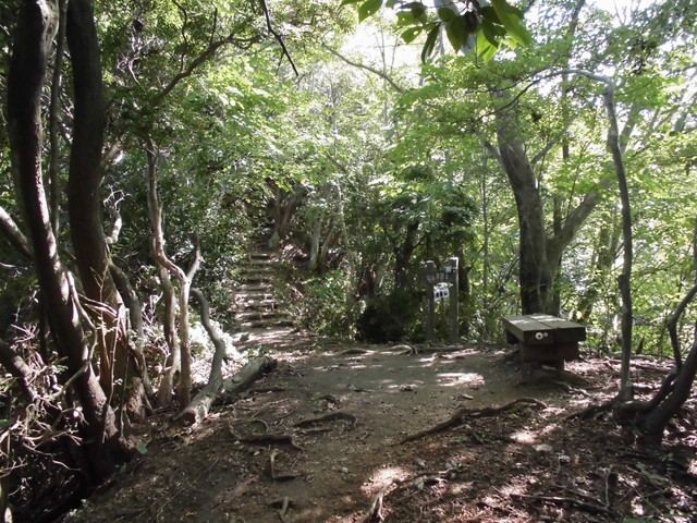 k12_086.jpg