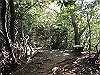 k12_086_thumb.png
