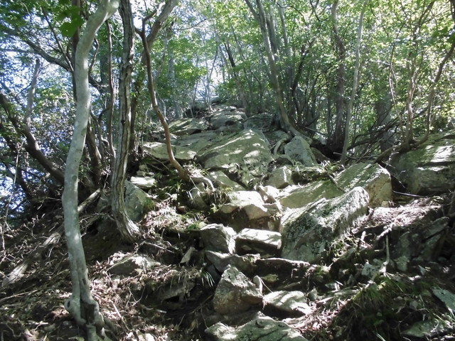 k12_087.jpg