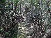 k12_088_thumb.png